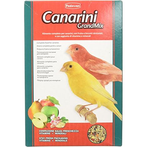 Grandmix mangime per Canarini Confezione da 1 Kg (1/4)