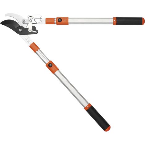 Tijeras de podar de trinquete con mango telescopico Fervi 0322