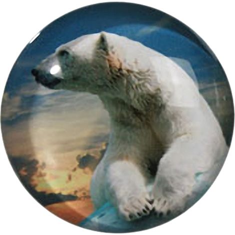 Petit magnet en verre rond Ours Blanc