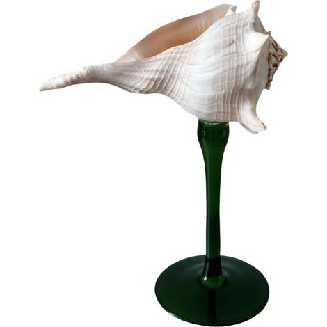 Verre à vin à pied en coquillage naturel, verre artistique en coquillage irrégulier, décoration intérieure.