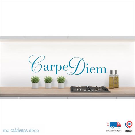 Crédence : CARPE DIEM - Couleur Bleu signal - Alu composite - 120 - 60 (1/3)