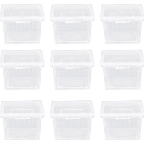 10er-Packung Reptilienzuchtboxen