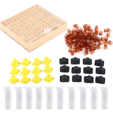 Kit per l'allevamento di api regine con 110 coppette in plastica di alta qualità, 12 blocchi di barre e tappi, 10 gabbie, per risultati eccezionali.