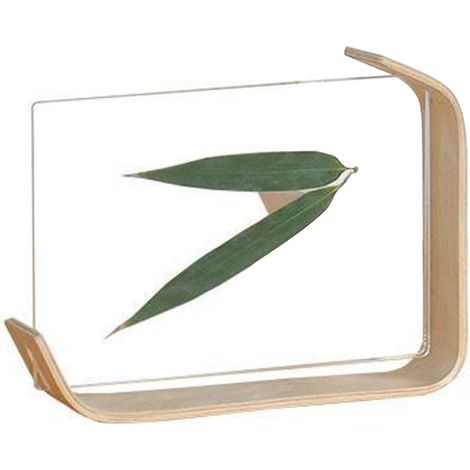 Cadre Photo Moderne en Bois et Acrylique pour Plantes - Décoration de Bureau Élégante et Design (1/5)