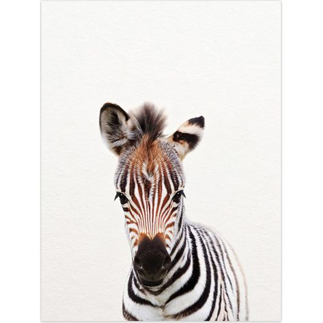 Affiche artistique représentant des bébés animaux : lion, zèbre, éléphant et girafe. Tableau sur toile avec des animaux de safari, idéal pour décorer les murs de la chambre d'enfant. (1/5)