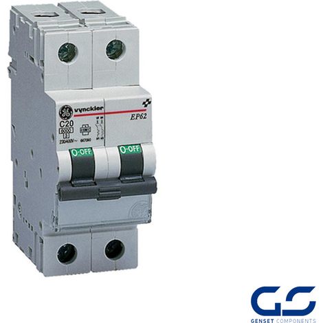Interruptor Magnetotérmico 2P 63A curva B 6KA General Electric 672163 EAN 541365672163
