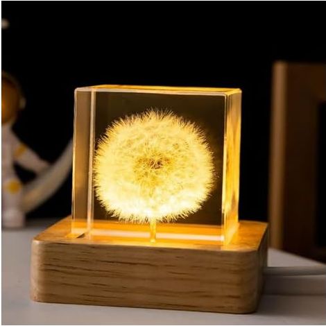 Veilleuse Cube en Cristal de Fleur, Veilleuse Cube en Cristal avec Base de Lumière LED Carrée en Bois, Lampe de Nuit pour Spécimen de Fleur à Chargement USB avec Support [Classe énergétique G] (1/5)