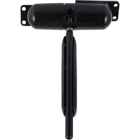 Irovami Ferme-porte réglable Herklotzn 1 20-70 kg, noir, en fer, automatique, montage en surface (1/5)