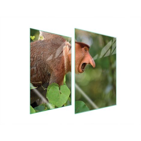 PIASTRA PROTETTIVA IN VETRO PER CUCINA 2x35x52 NOSACZ (1/5)