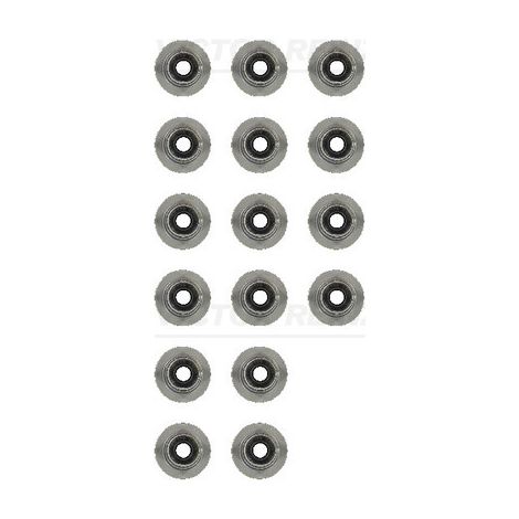 Kit de joints de tige de soupape VICTOR REINZ 12-13246-01