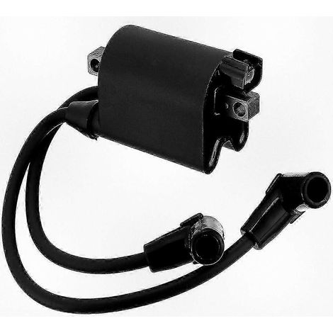 Module de bobine d'allumage double pour voiturette de golf EZGO EZ-GO, moteur MCI, modèles 2003-2008 - Compatible avec les références 72866-G01 et EPIGC104 (1/5)