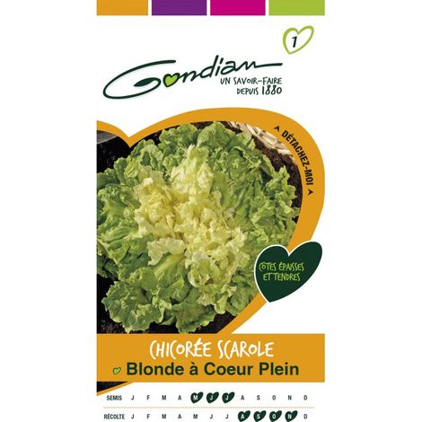 Gondian - Chicorée Scarole Blonde a Cœur Plein (1/3)