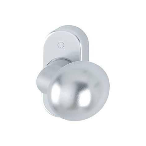Maniglia Fs-Pt -Knopf Auf Ros. Fs-50G / 55 Rf, F1