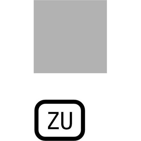 Étiquette à encliqueter transparente ZU EATON 153LQ25