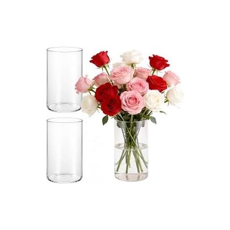 vases en verre transparent cm - Photophore et vase à fleurs fond pour bougies, galets, coquillages (1/5)
