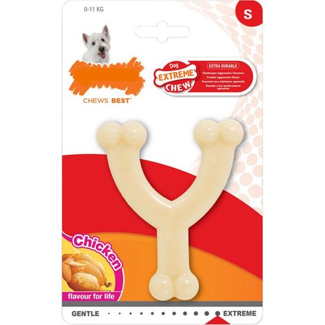 Nylabone Mordedor de Perro, Multicolor, Estándar
