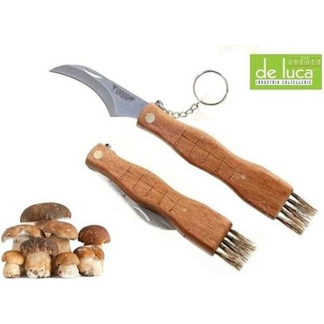 Coltello coglifunghi professionale con lama in acciaio inox per uso professionale -19 cm (1/5)