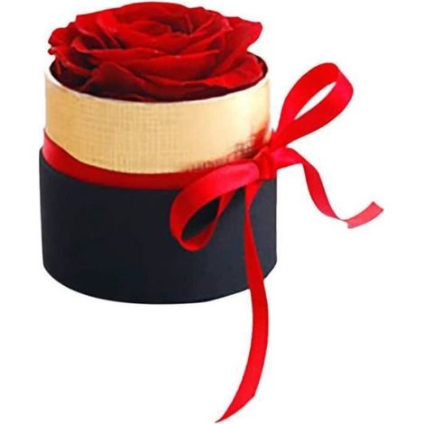 Roses Séchées - Mini Bouquet Préservé - Boîte-Cadeau - Rouge - 6 x 7 cm - 1 Pièce (1/4)