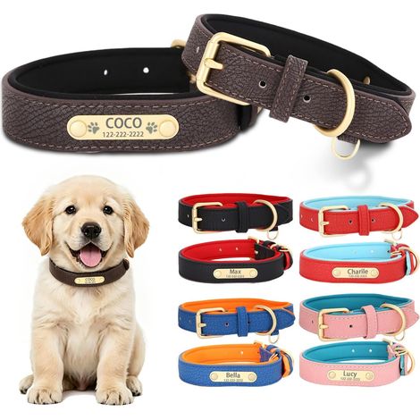 Collier pour Chien personnalisé Cuir Confortable Tout Type de Chien Collier chien cuir personnalisé avec plaque gravée nom, téléphone et icône, entièrement réglable (1/5)