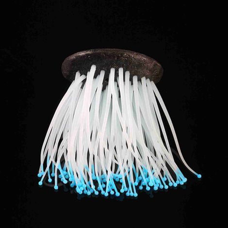 Anémone de mer artificielle en silicone à effet lumineux pour aquarium, décoration (1/4)
