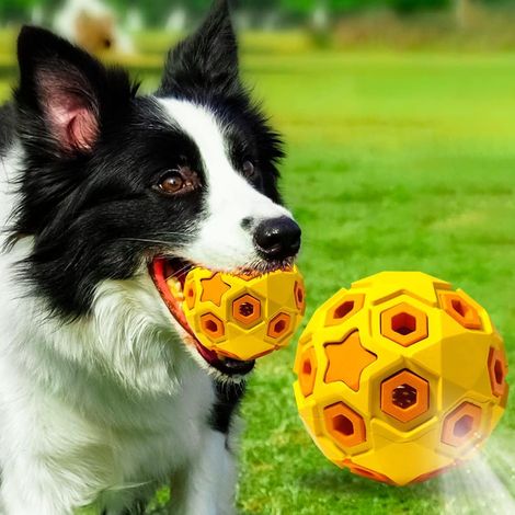 Balle pour chien à LED Balle jouet pour chien Balle lumineuse rebondissante interactive avec Flash Balle pour chien gonflable Flash LED Jouet pour chien