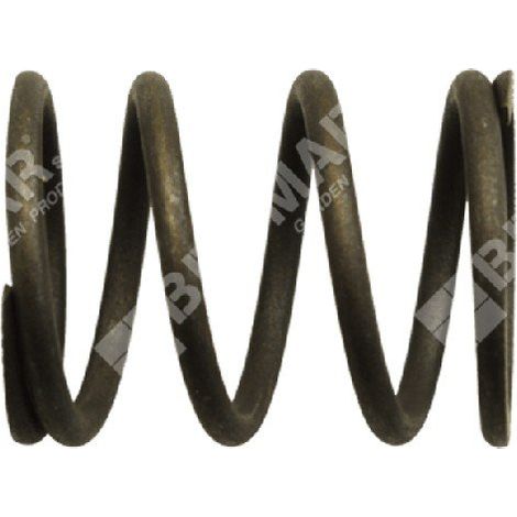 Resorte de válvula para motogeneradores DUCAR - 038481