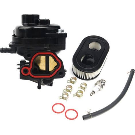 Carburateur de rechange pour moteur OHV Briggs & Stratton 550EX à 725EXI – 163 cm³, remplace les références 799584 et 594058 (1/5)