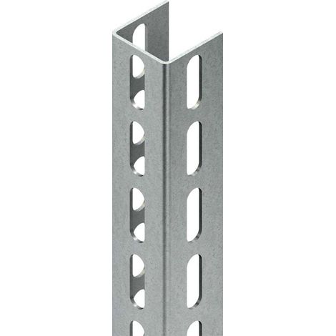 Niedax U-Profil U 5050/2000 F 2 Stk