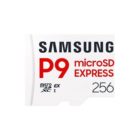 MICROSD P9 EXPRESS 256GB