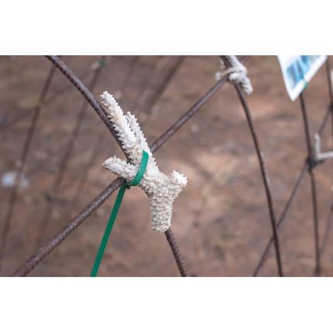 Attaches en nylon vert, 100 pièces, serre-câbles 200 x 4,6 mm, résistant aux UV, auto-verrouillant, 23 kg de traction, pour applications lourdes à l'intérieur et à l'extérieur (1/2)