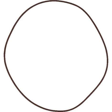 Bremse O-Ring MASSEY FERGUSON 215391180