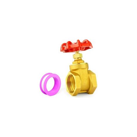 Vanne à guillotine en laiton avec poignée à molette, vanne robuste 1-1/2" BSP à usage intensif pour l'eau, le pétrole, le gaz et la plomberie industrielle (1/5)