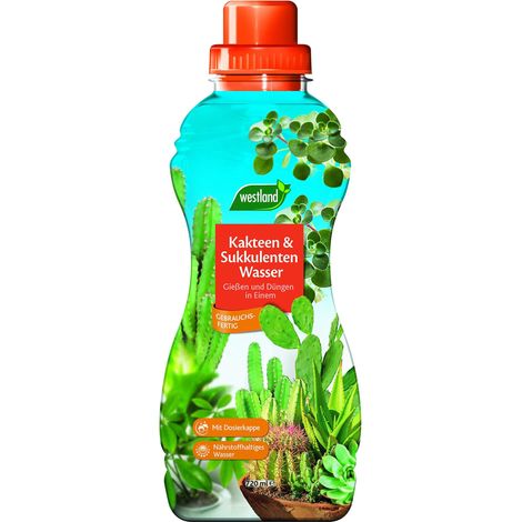 Westland Eau Cactus & Plantes Grasses - Solution Nutritive (1/2)