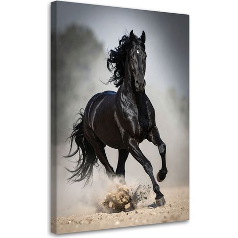 Toile Imprimée, Cheval noir au galop nature,20x30 (1/4)