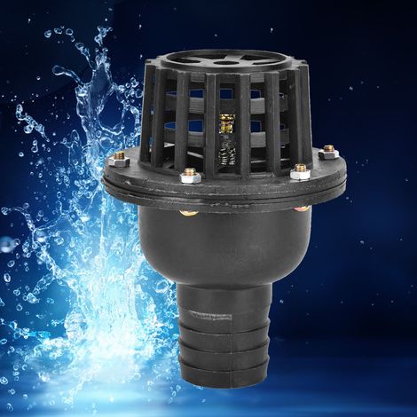 Fußventil der Wasserpumpe (1/5)