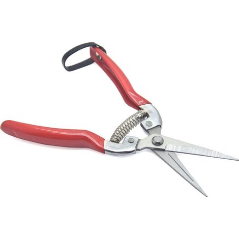 JKWG Sécateur professionnel à micro-pointe, petit sécateur à main et cisailles de jardin pour arranger les fleurs, tailler les plantes et les herbes hydroponiques, et récolter les fruits et légumes. (1/4)