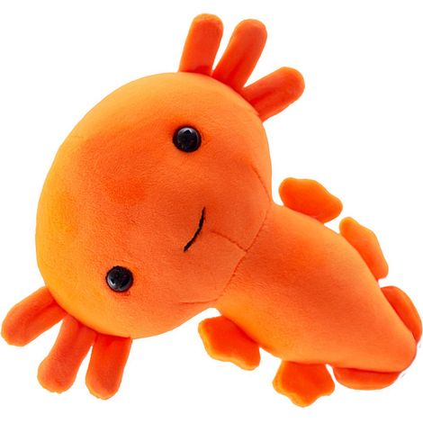 Peluche mignonne de dessin animé, rembourrage en coton PP doux et élastique, idéale pour que les enfants jouent sur les canapés et les lits, couleur orange. (1/5)