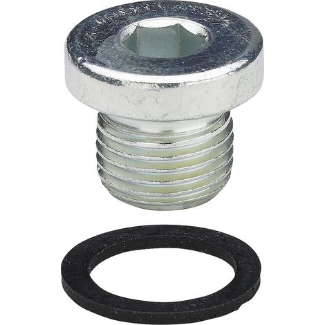 Vis G2940 en acier galvanisé G1/8