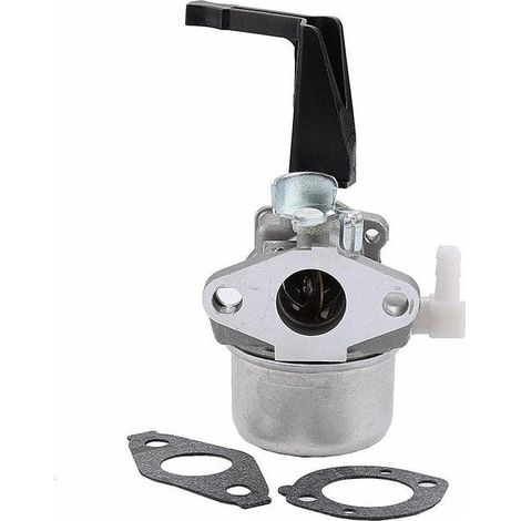 Carburateur 696065 compatible avec Briggs & Stratton 696065 697422 110402 0206 E1 (1/4)
