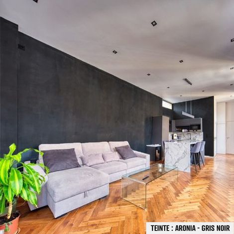 béton ciré, mur, couleur, enduit décoratif, enkit, gris, blanc, beige - 2 m² - Mate Aronia Gris Noir - ARCANE INDUSTRIES (1/5)