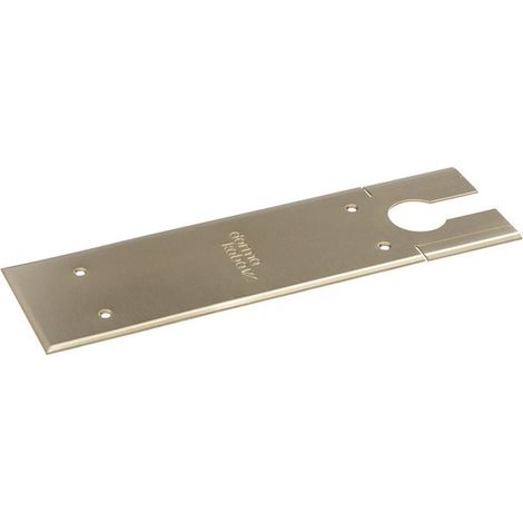 Plaque de support pour BTS 80 BTS 80 F BTS 80 EMB et BTS 80 FLB, finition mate brossée (1/2)