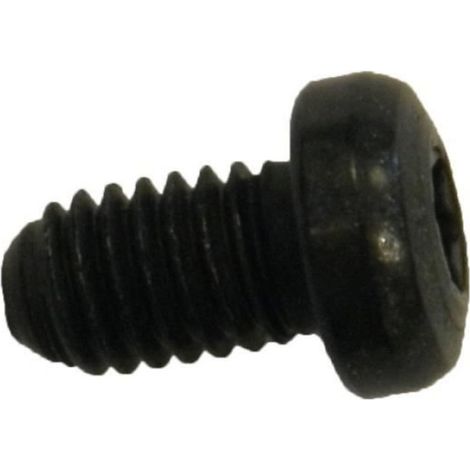 Vis de remplissage M6 - - Noir - Acier - Hydraulique - Lot de 10