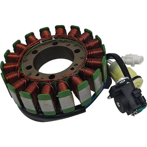 Ensemble stator de générateur pour Yamaha YMH Raptor 700 700R YFM 700 YFM 700R 2006-2026 ATV UTV 1S3-81410-00-00 Pièce de rechange (1/5)