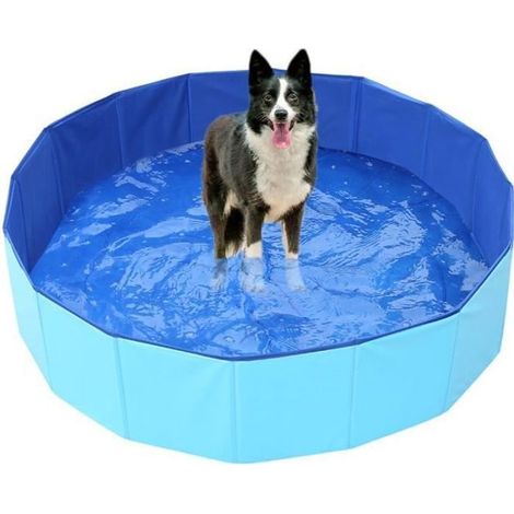 Piscina para perros - Nombre - Folle - Antideslizante - PVC - Etiqueta portátil (1/4)