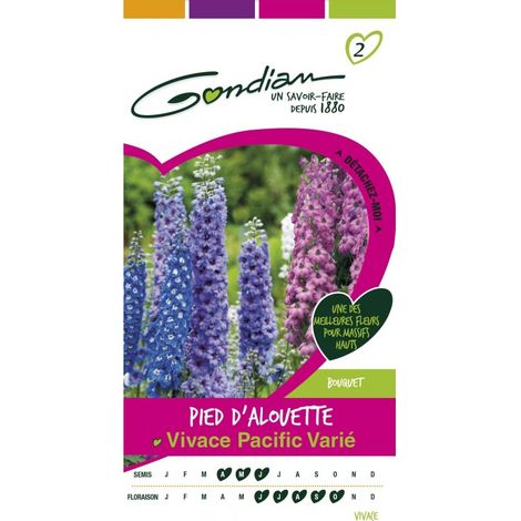 Gondian - Delphinium Vivace Mix