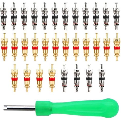 Kit per la rimozione delle valvole dei pneumatici, 1 estrattore per valvole, con 32 nuclei valvola, apri valvole, estrattore di nuclei valvola, attrezzo per valvole dei pneumatici, estrattore di valvo