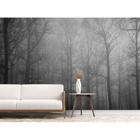 Papier Peint Noir et Blanc - Forêt Voilée de Brume - 150 x 250 cm (1/2)