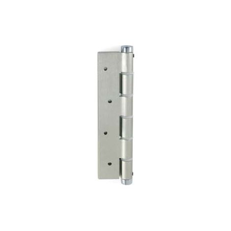 Bisagra Simple Acción Aluminio Plata Unidad (1/3)
