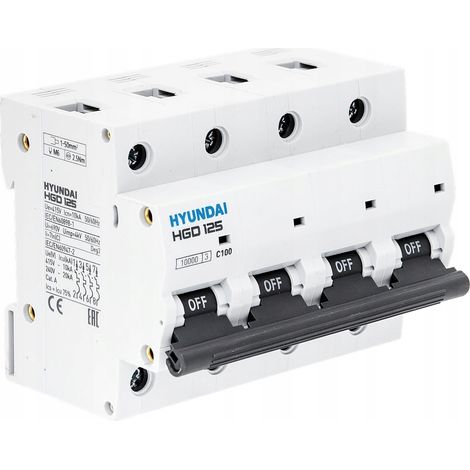 Hyundai HGD - interruttore automatico 4P, 125AF, 10KA, 80A, char. C (1/3)
