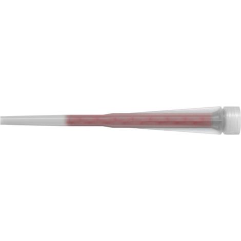 BECCUCCI FISCHER UNIVERSALI A.545853